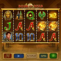 LVBet - Book of Dead Slot Game - Play'n GO Pokies